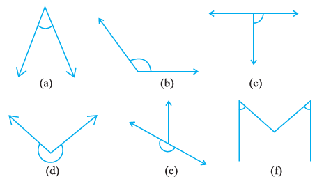 Page 95 Chapter 5 Class 6th Non-Rationalised NCERT 2019-20 Page 95 Chapter 5 Class 6th Non-Rationalised NCERT 2019-20